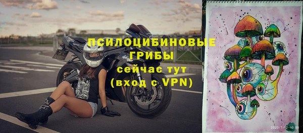 СК Абаза